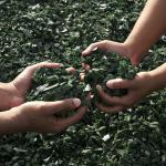 Mains plongées dans une substance recyclée